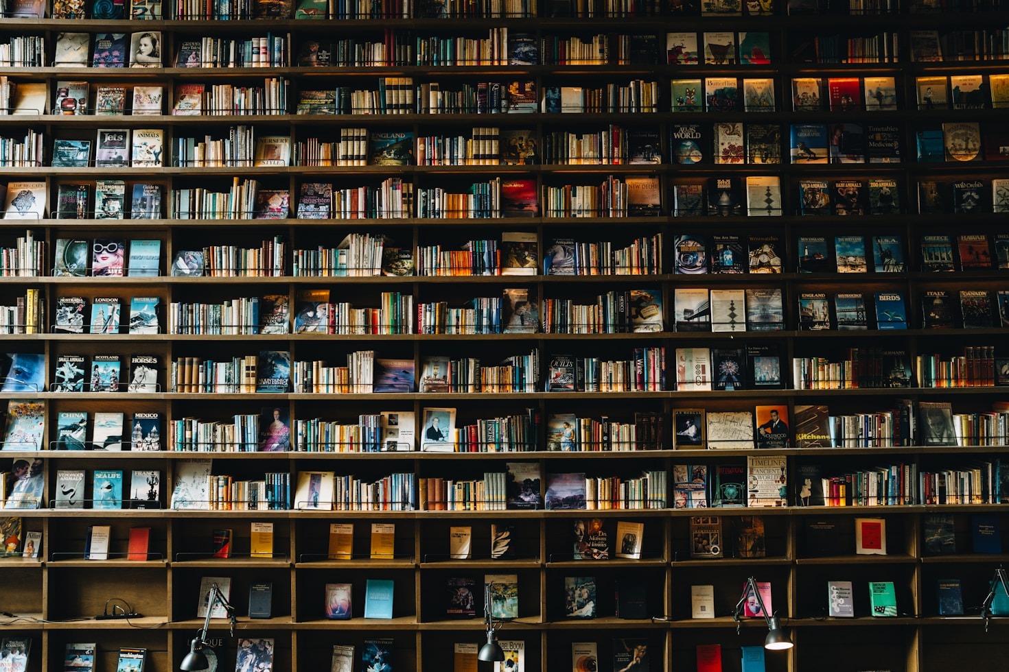Exploring Diverse Genres In Modern Fiction